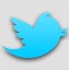 twitterlogo